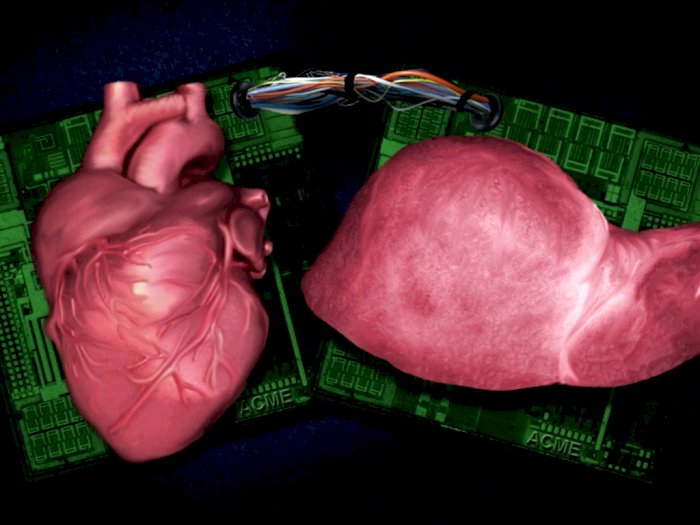 Ilmuwan Temukan Cara Membudidayakan Organ Manusia di Lab, Benarkah Pencapaian Ilmiah?