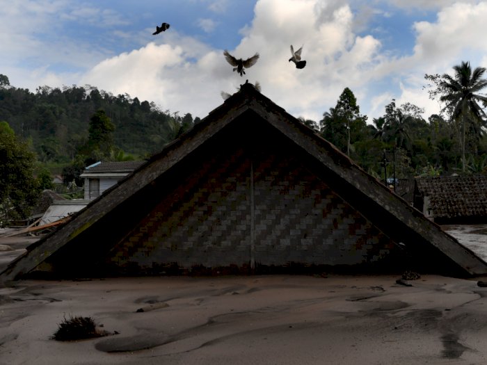 Sejumlah Desa di Lumajang Diterjang Lahar Dingin Gunung Semeru