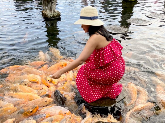 Wisata Viral di Bali! Pencinta Ikan Wajib Healing ke Sini