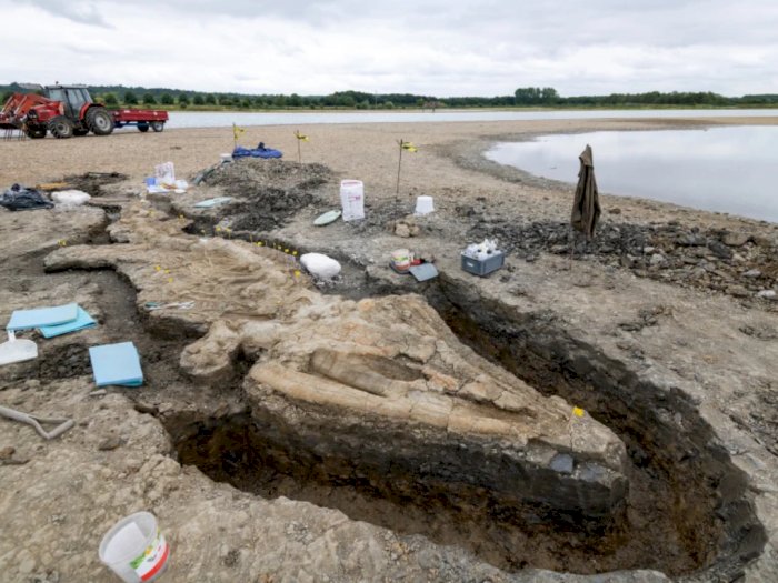 Penemuan Baru, Kerangka 'Naga Laut' Raksasa Ditemukan di Inggris, Bakal Siap Dipamerkan