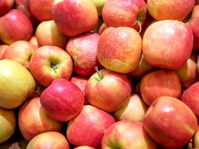 Jangan Sembarangan Beli Apel, Ini Arti Kode di Buah Impor yang Harus Kamu Ketahui