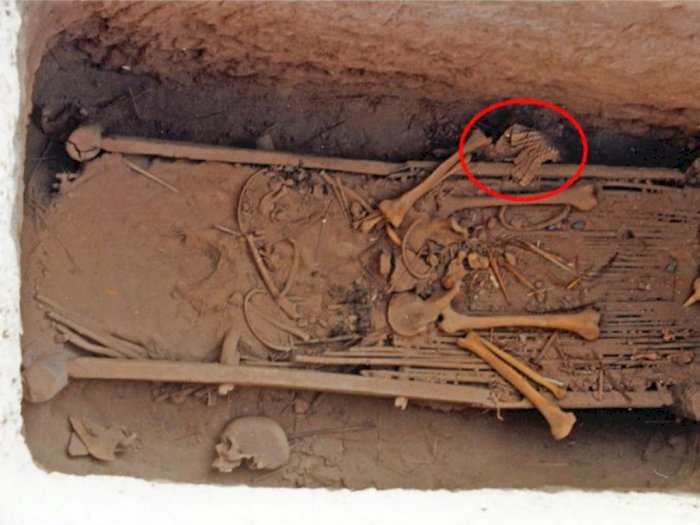 Baju Jirah Unik Dilapisi 5 Ribu Sisik Kulit, 2.500 Tahun Terkubur di Makam Tentara