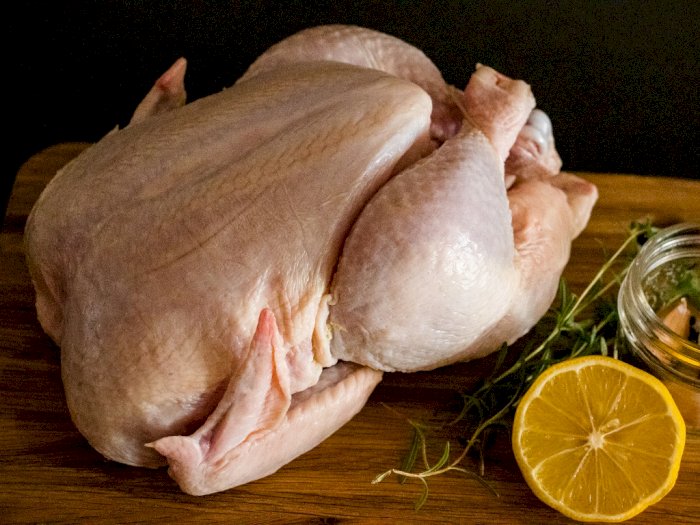Ayam Tiren Digiling Jadi Bakso Diungkap Polisi Bantul, Kenali Bahayanya Bagi Kesehatan
