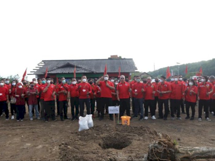 Hendi dan Simpatisan PDI Perjuangan Kota Semarang Tanam Mangrove di Pantai Mangunharjo
