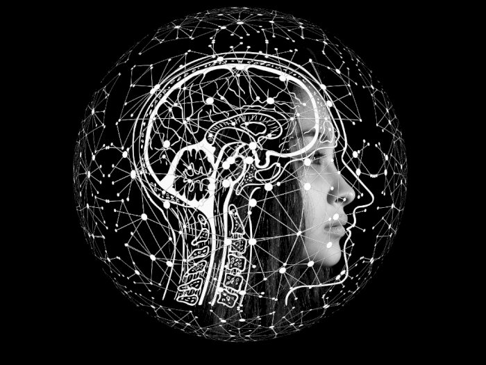 Manusia Hanya Pakai 10 Persen dari Kemampuan Otaknya, Fakta atau Mitos Belaka?