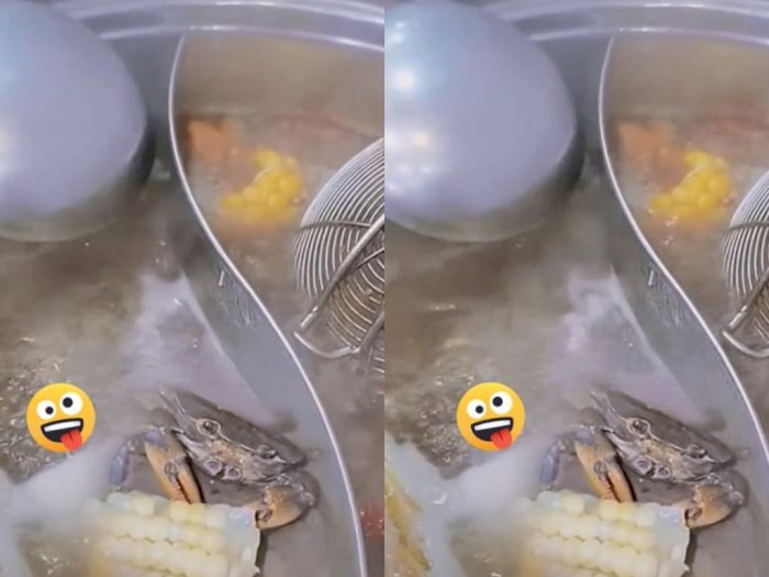 Viral, Kepiting Santai Makan Jagung di Panci Berisi Air Mendidih
