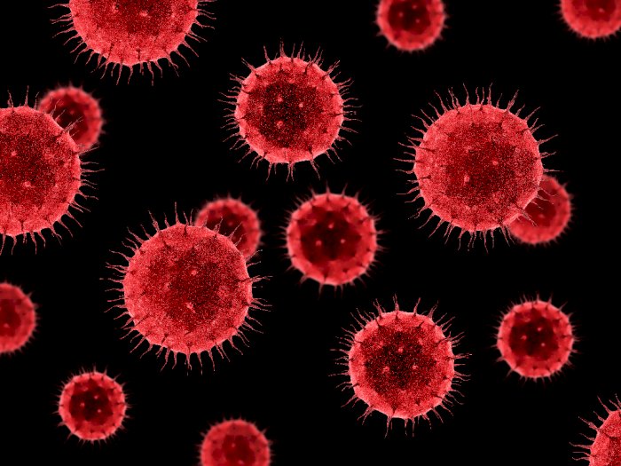 Bukan Varian Baru Virus Corona, Ahli Tegaskan NeoCoV tidak Perlu Dikhawatirkan