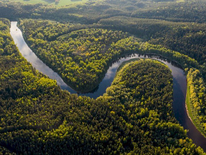 Amazon Tercatat Sebagai Sungai Terpanjang di Dunia, Tapi Berapa Panjangnya?
