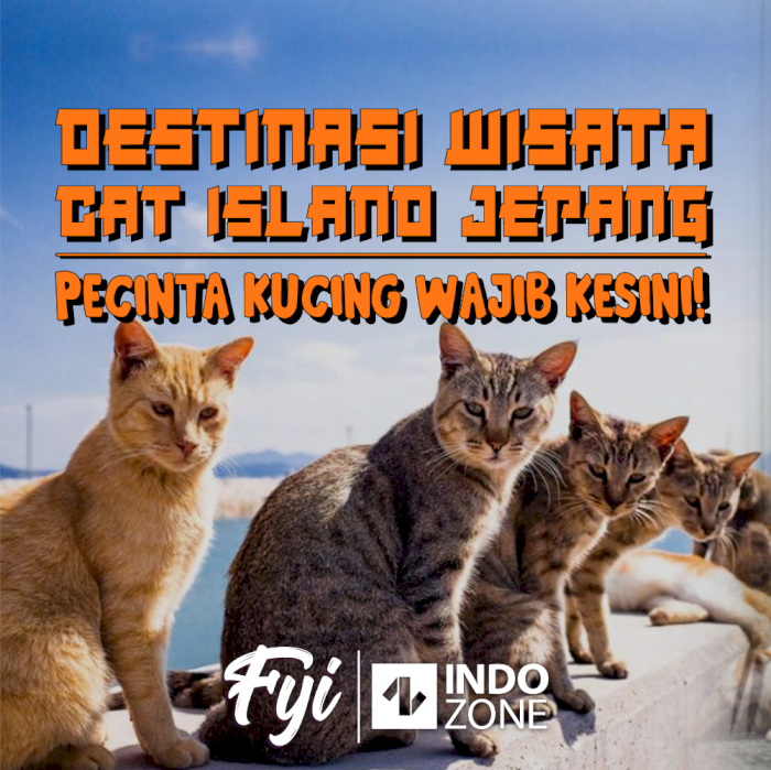 Destinasi Wisata Cat Island Jepang, Pecinta Kucing Wajib Kesini!