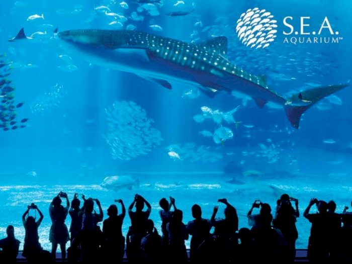 4 Akuarium Terbesar di Dunia yang Wajib Dikunjungi, Salah Satunya Ada di Singapura