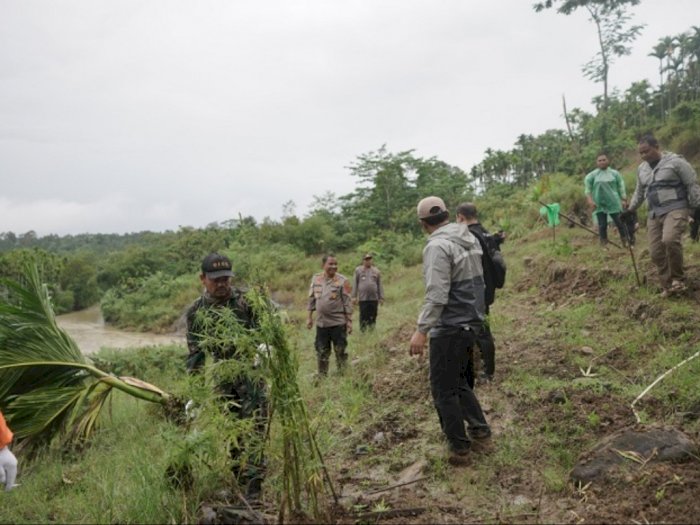 Awal Mula Penemuan 6,28 Hektar Ladang Ganja di Aceh, Berawal dari 2 Tersangka