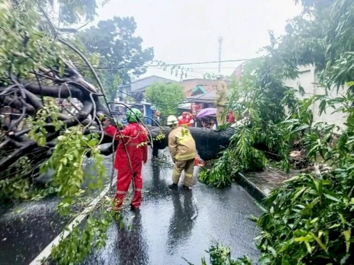 Hujan Disertai Angin Kencang Terjang Jakarta, 8 Pohon Tumbang hingga Listrik Putus