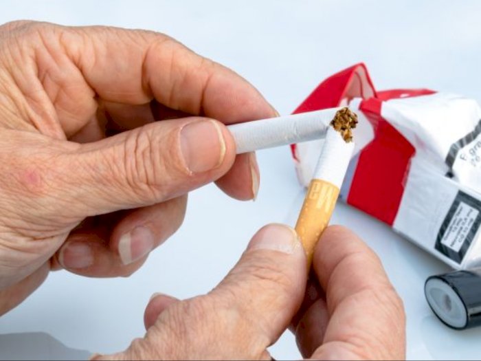 Tembakau Alternatif Bisa Turunkan Perokok Aktif, Butuh Dukungan Regulasi Pemerintah