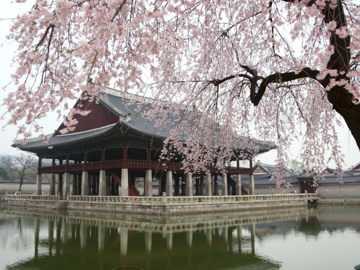Mulai Bulan Depan Istana Gyeongbok akan Dibuka untuk Tur Malam Secara Gratis