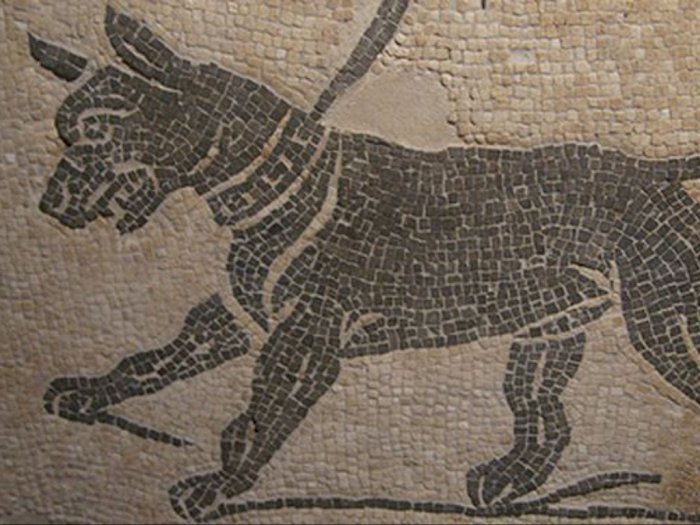 Peran Anjing bagi Kehidupan Romawi Kuno, Dari Pelindung Dewi hingga Dijadikan Mitologi!