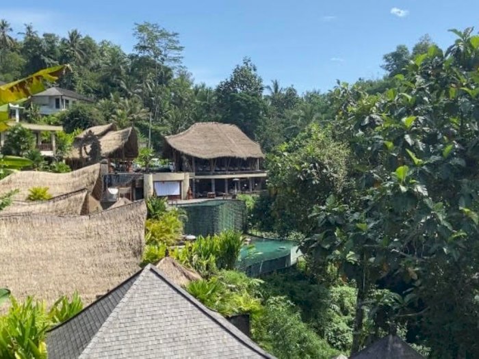 Rekomendasi Tempat Healing Anti-Mainstream di Tengah Hutan Ubud, Bali 