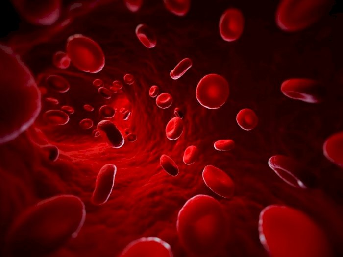 Alasan Mengapa Golongan Darah Manusia Beda-beda, Ternyata Gara-gara Malaria, Kok Bisa?