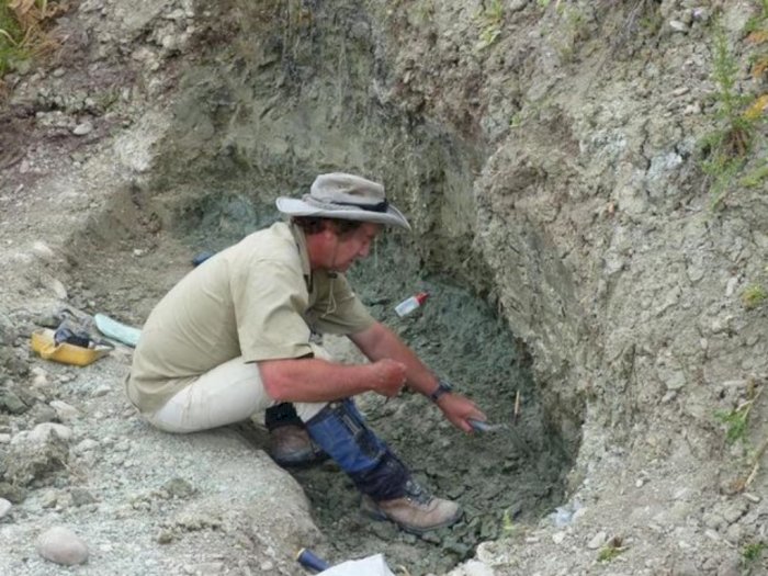 Peneliti Temukan Fosil Bebek yang Bisa Menyelam, Diperkirakan Hidup Jutaan Tahun yang Lalu