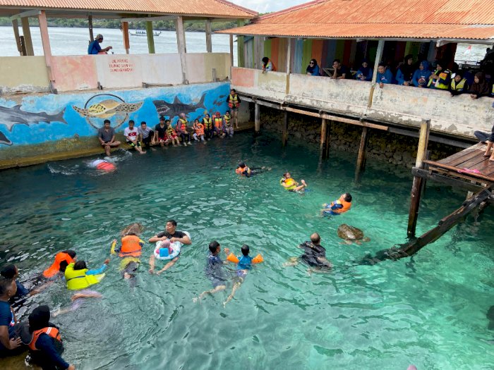 Cuma Bayar Rp10 Ribu Kamu Bisa Berenang dan Snorkeling Bersama Penyu di Pulau Ini! 