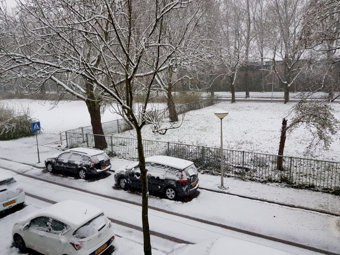 Fenomena Aneh di Belanda! Salju Turun di Musim Semi, Kok Bisa?
