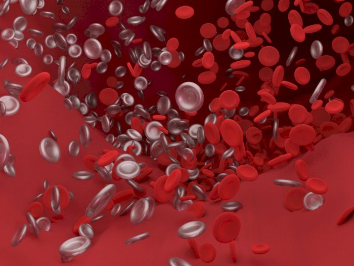 Risiko Pembekuan Darah Meningkat 33 Kali Lipat setelah Terinfeksi COVID-19