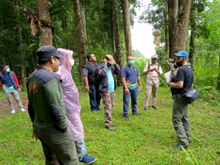 Cegah Perambahan Hutan, Komitmen Kerjasama Pelestarian TN Gunung Halimun Salak Disepakati