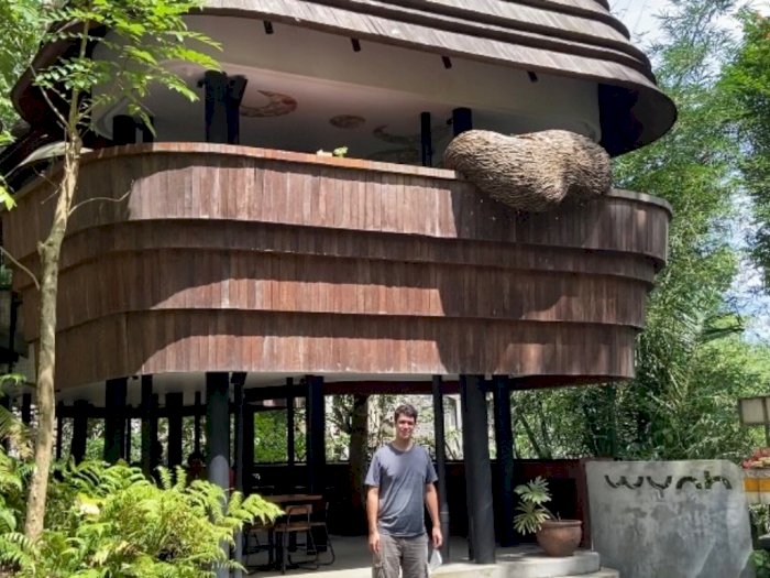 'Sarang Lebah' yang Viral di Bali Ternyata Kafe Berkonsep Jungle, Pewe Abis! 