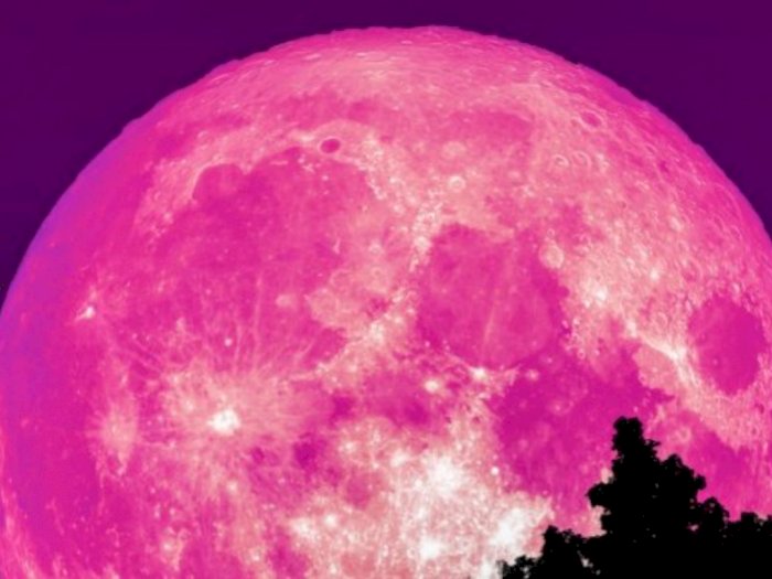 Siap-siap, Akhir Pekan Ini Ada Bulan Purnama Pink, Begini Cara Melihatnya