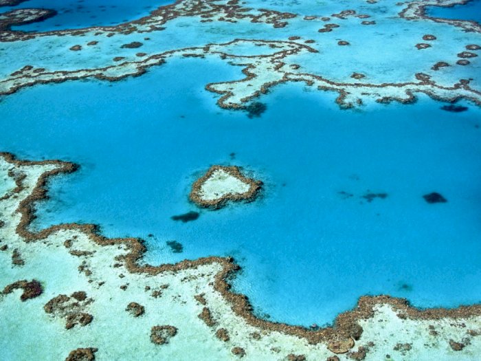 Perubahan Iklim Jadi Ancaman Lingkungan yang Paling Signifikan Terhadap Great Barrier Reef
