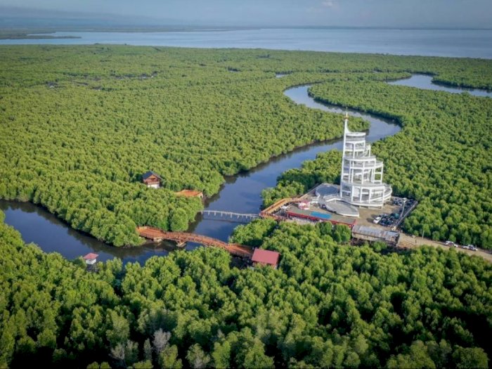 Keindahan Destinasi Wisata Hutan Mangrove di Langsa Bikin Kagum Menparekraf Sandiaga Uno