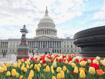 Viral Penembakan Brutal di New York, WNI Ketakutan: Gak Berani Keluar Malam!