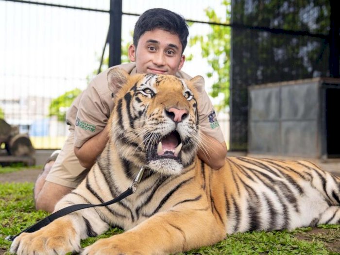 Alshad Ahmad Disebut Egois Usai Tanggapi Kematian 3 Harimau di Aceh: Mentang Rumah Gede