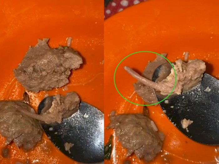 Viral Bakso Diduga Terbuat dari Daging Tikus, Pas Dimakan Ada Buntutnya dan Bau Amis
