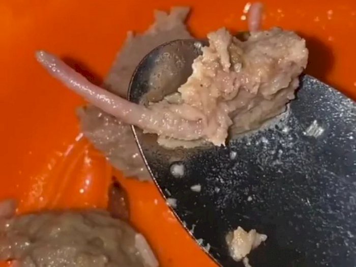 Buntut Bakso Diduga Daging Tikus di Karawang, Pengunggah Video Ajak Jangan Pukul Rata