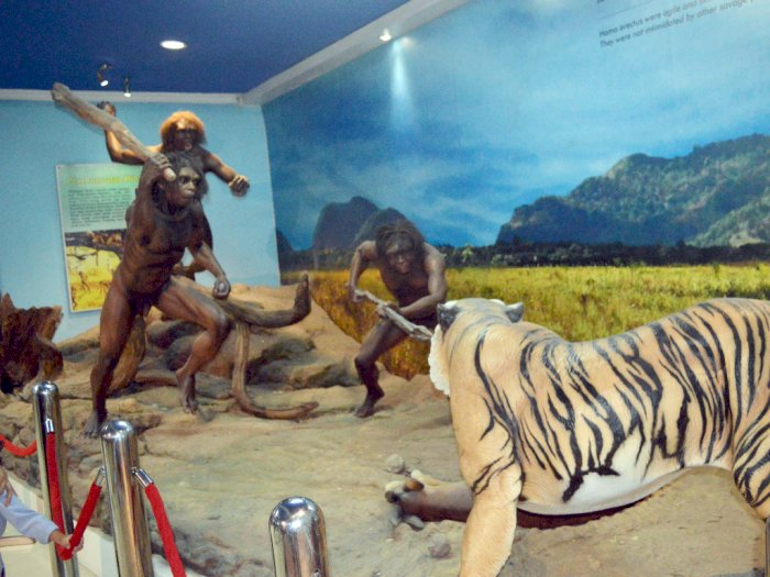 Diakui UNESCO, Indonesia Punya Museum Manusia Purba Terlengkap di Dunia 