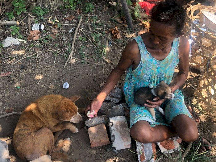 Kisah Wanita Sebatang Kara Rawat 60 Anjing Liar di Bali: Susah Buat Beli Obat!