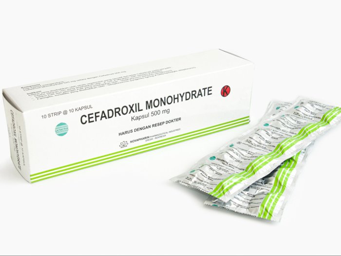 Cefadroxil 500 mg Obat Apa? Ini Kegunaan, Dosis, dan Efek Sampingnya