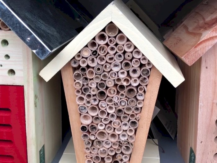Menggemaskan! Wanita Ini Bikin Hotel Lebah untuk Rayakan Hari Lebah Sedunia