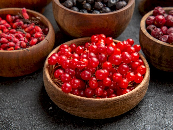 Konsumsi Cranberry Secara Rutin Bantu Meningkatkan Daya Ingat, Cegah Demensia di Masa Tua