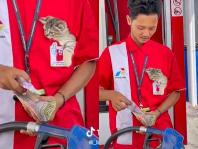 Viral Petugas SPBU Momong Anak Kucing saat Bertugas, Santuy Dikantongi di Baju