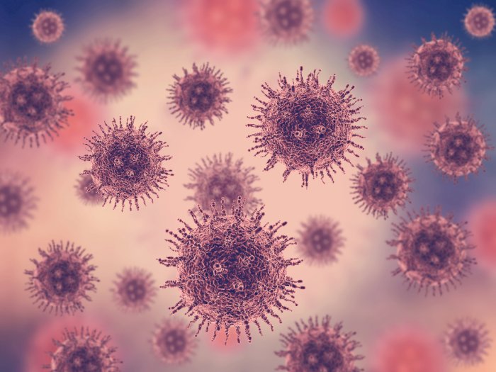 Varian Baru Virus Hendra (HeV) Berpotensi Lebih Mematikan dan Menular dengan Cepat
