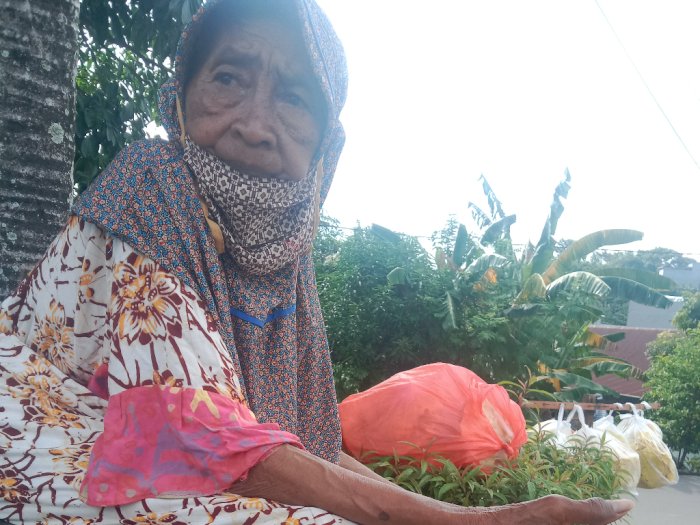 Kisah Nenek Malang, Berjuang Demi Sesuap Nasi di Tengah Getirnya Kehidupan