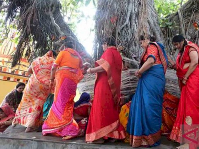 Ritual Wanita India Memuja Pohon Beringin, Cara Doakan Suami agar Panjang Umur dan Setia