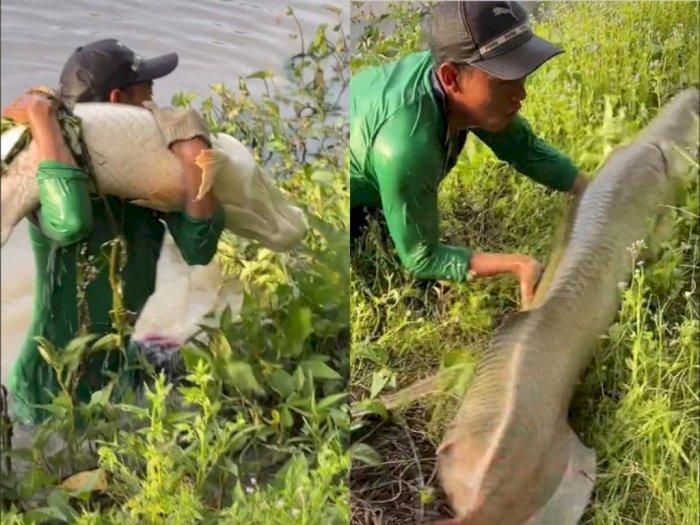 Wow! Pria ini Dapat Ikan Jumbo dari Hasil Mancing di Sungai, Warganet Sebut Ikan Siluman!