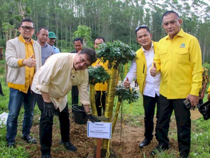 Tanam Pohon di IKN, Airlangga Harap Beringin Mampu Satukan Bangsa Indonesia
