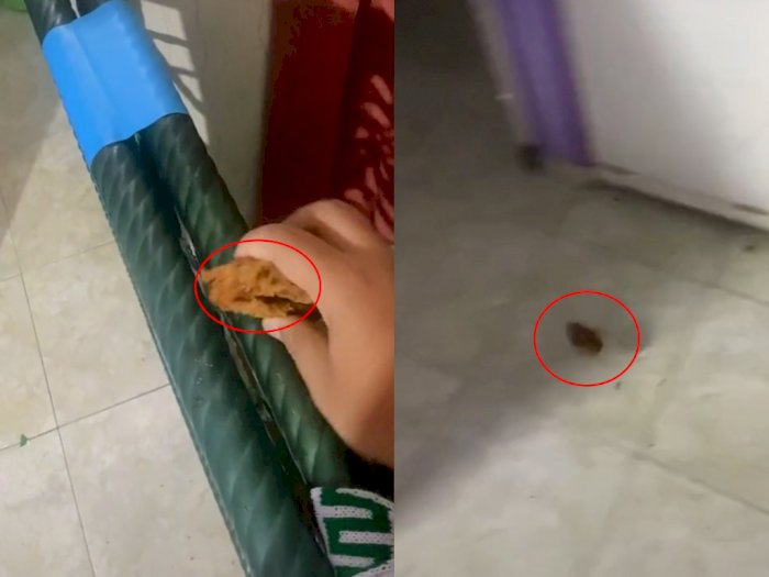  Wkwk! Kesal dengan Ayam Tepung '3 Roda,' Pria Ini Banting ke Lantai, Netizen: Fried Stone