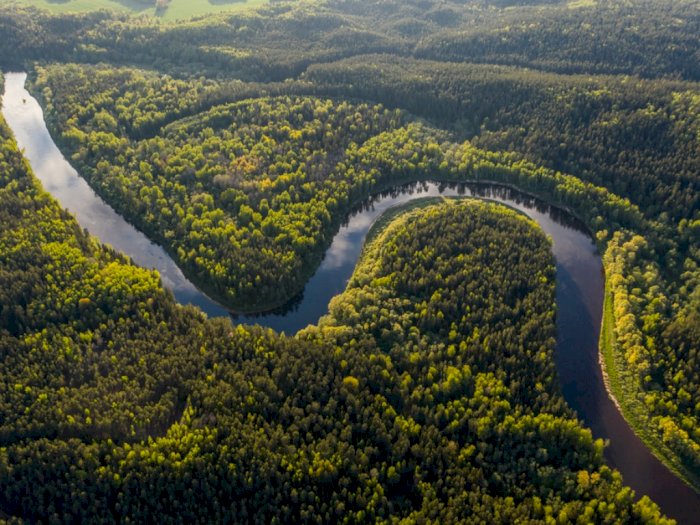 Jadi Sungai Terpanjang, Mengapa Tak Ada Jembatan di Atas Sungai Amazon?