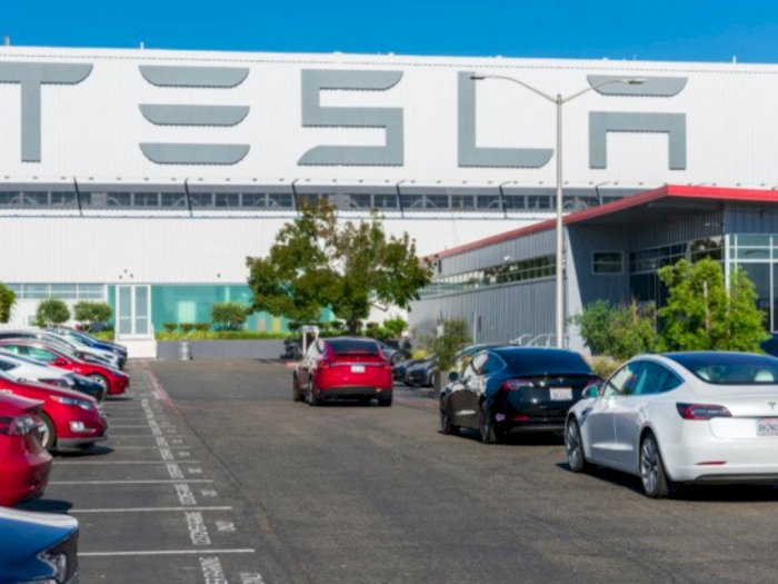 Buntut dari PHK Massal  di Perusahaan Tesla, Eks Karyawan Menggugat 