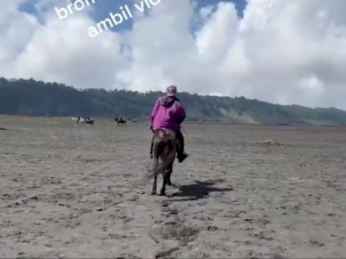 Viral, Wisatawan Diminta Rp 50 Ribu Gegara Rekam Kuda di Gunung Bromo Tanpa Izin