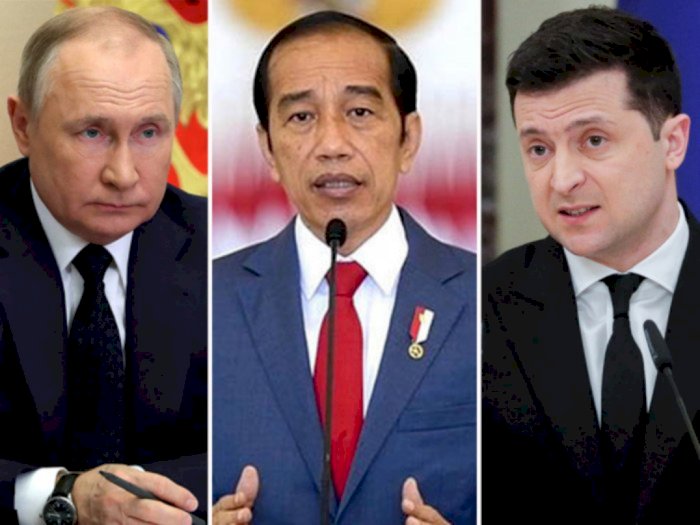 Presiden Jokowi Bakal Bertemu Putin dan Zelenskiy, Anggota DPR Ini Buka Suara